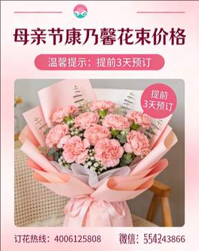 贺州昭平县花店母亲节康乃馨花束