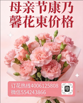 贺州昭平县花店母亲节康乃馨花束
